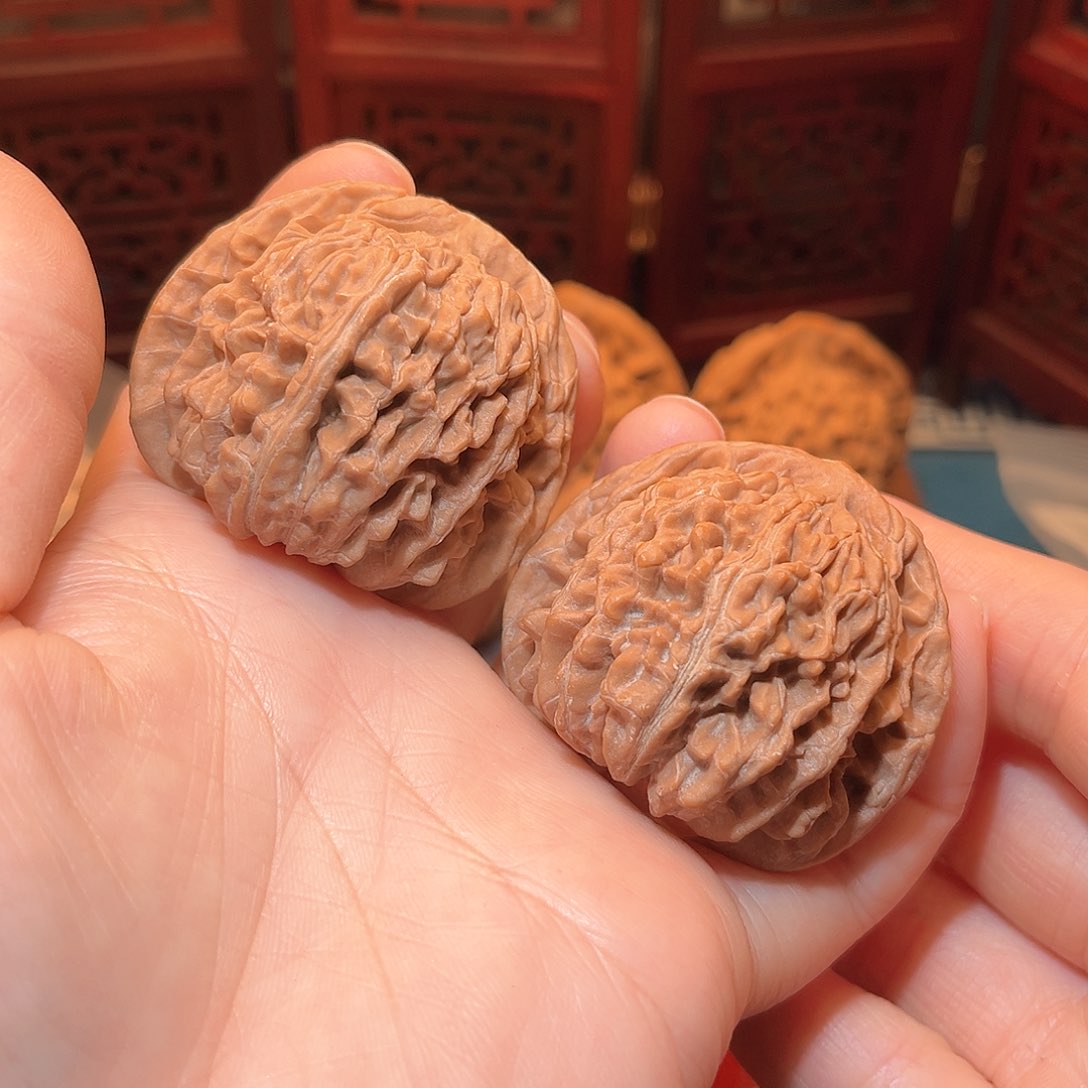 45全品四座楼……福利