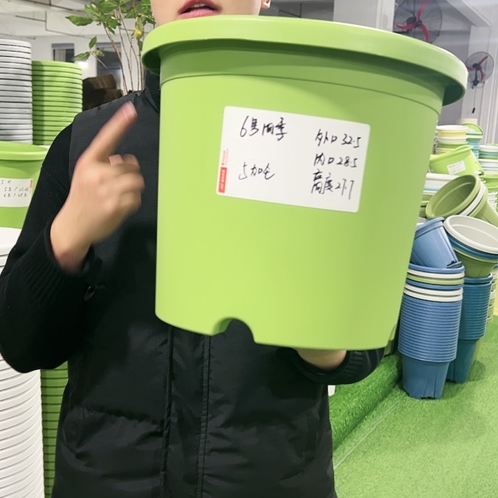 特价6号口32高28果绿色7只无托