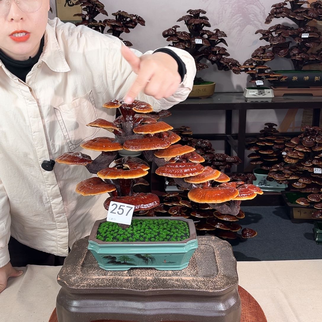 万事如意88888257