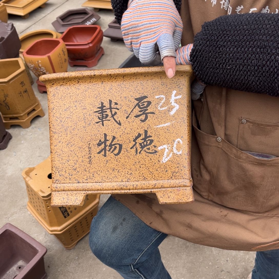 紫砂花盆盆景艺术