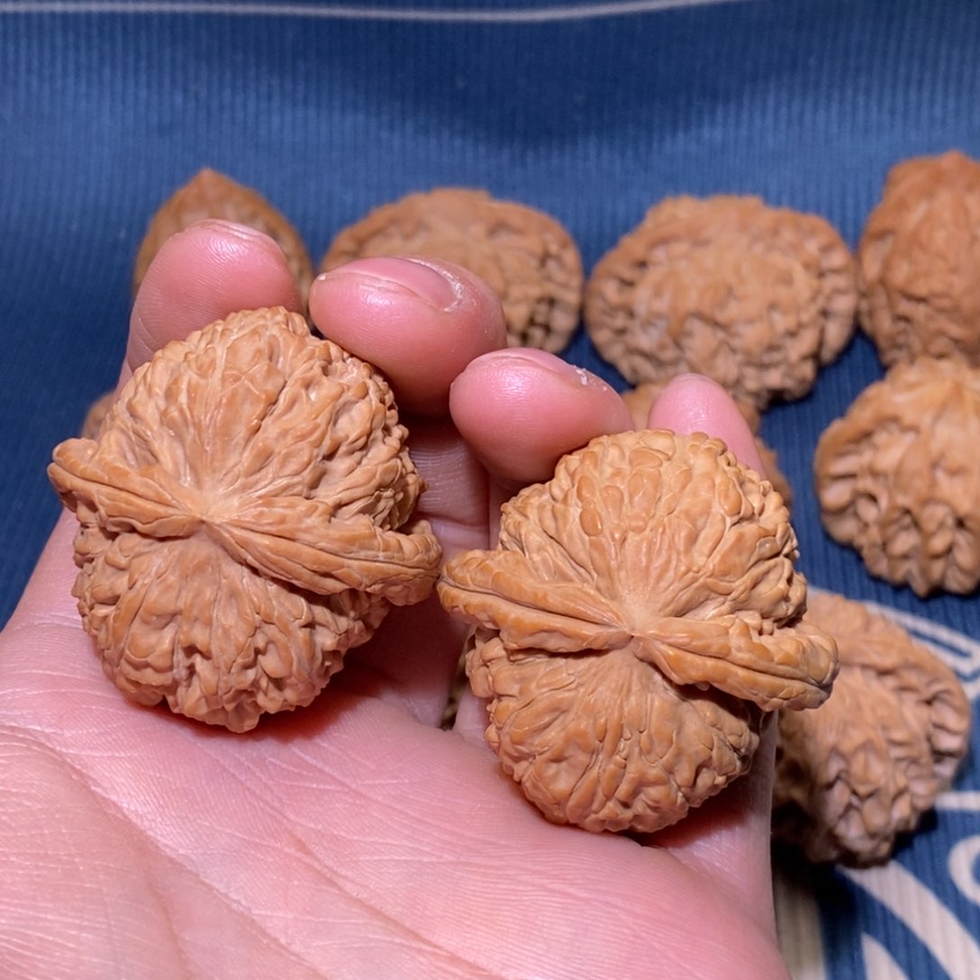 蔡*绅40尺 全品无修 白茬 白狮子