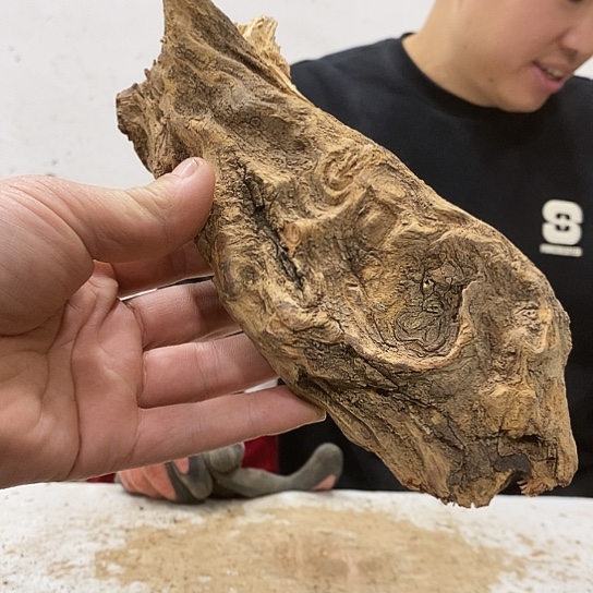 小***倩柏木我们都是好孩子