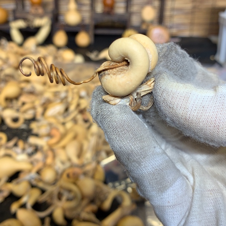 金蟾在我这里的感觉太明显