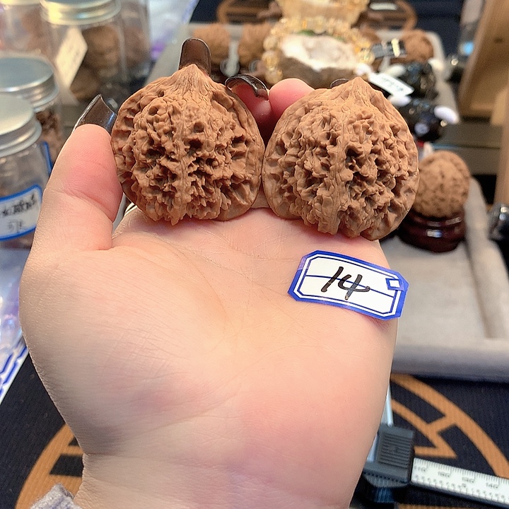 木质类满天星44尺寸