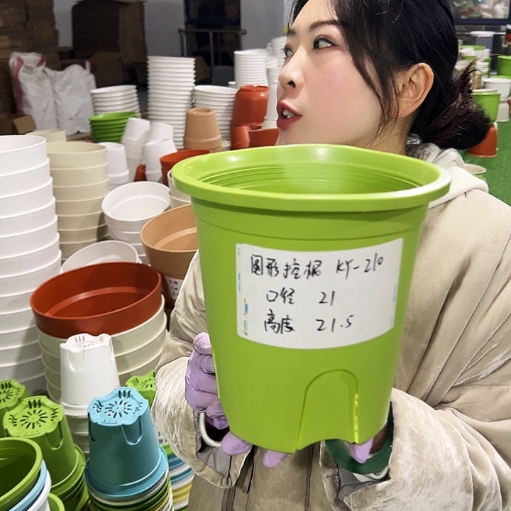 正品圆控口21高21果绿8只无托