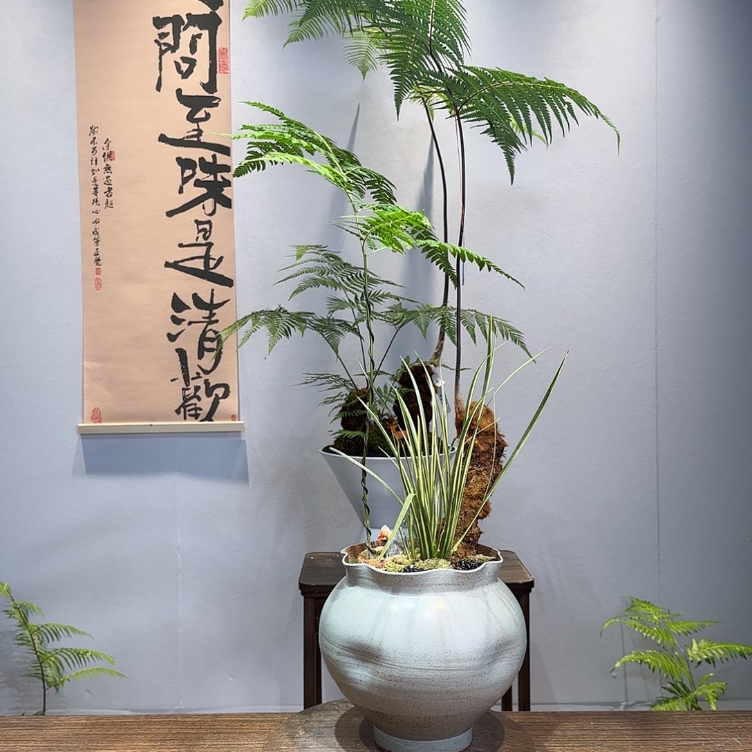 无花朵高端一物一拍