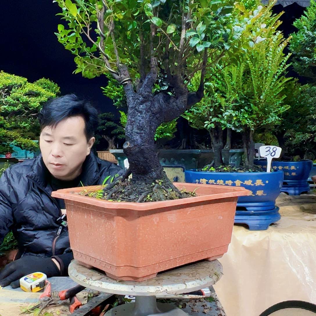 以实际为准喜*12345678