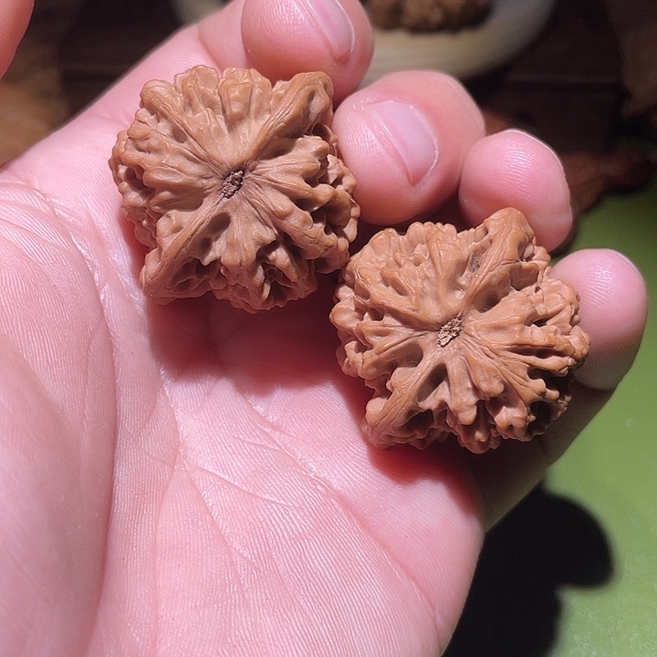 37.6/38全品精配对秦闷核桃核桃