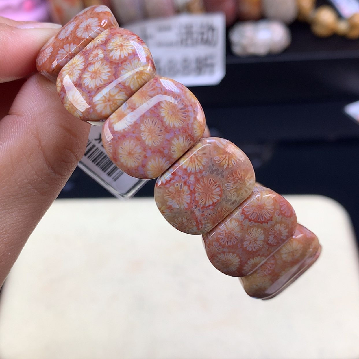 【闪购商品】颈饰未镶嵌硅化珊瑚（珊瑚玉）12号赞比