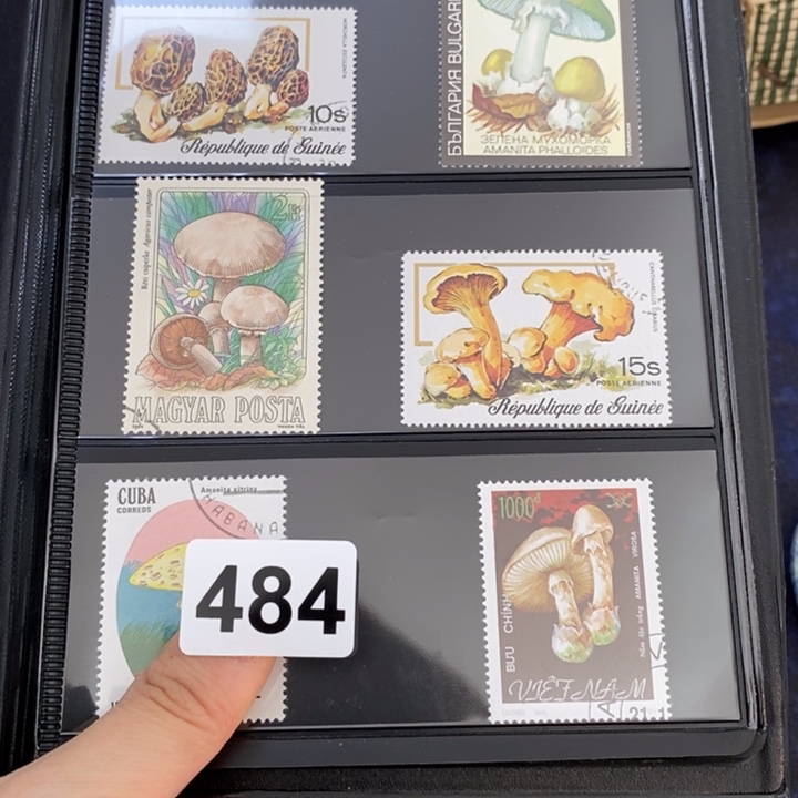 瓷片哦哦哦哦哦哦哦哦哦