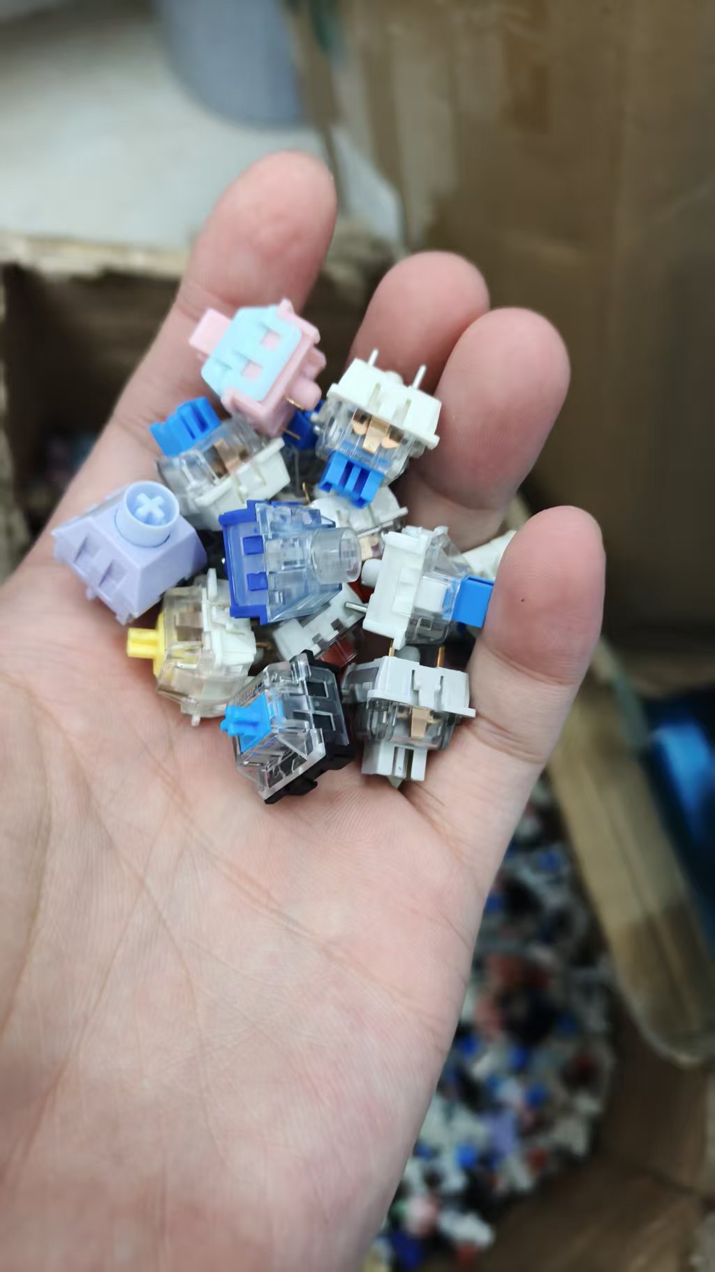 随机轴体常规青红茶黑和阿尼亚，凯华等客制化轴体默认瑕疵