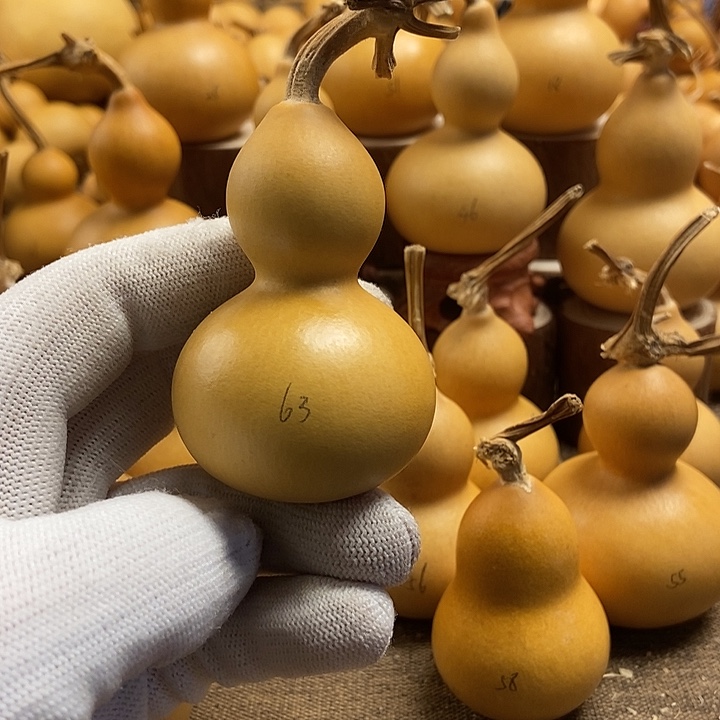 文玩葫芦 完美主义者 慎拍63