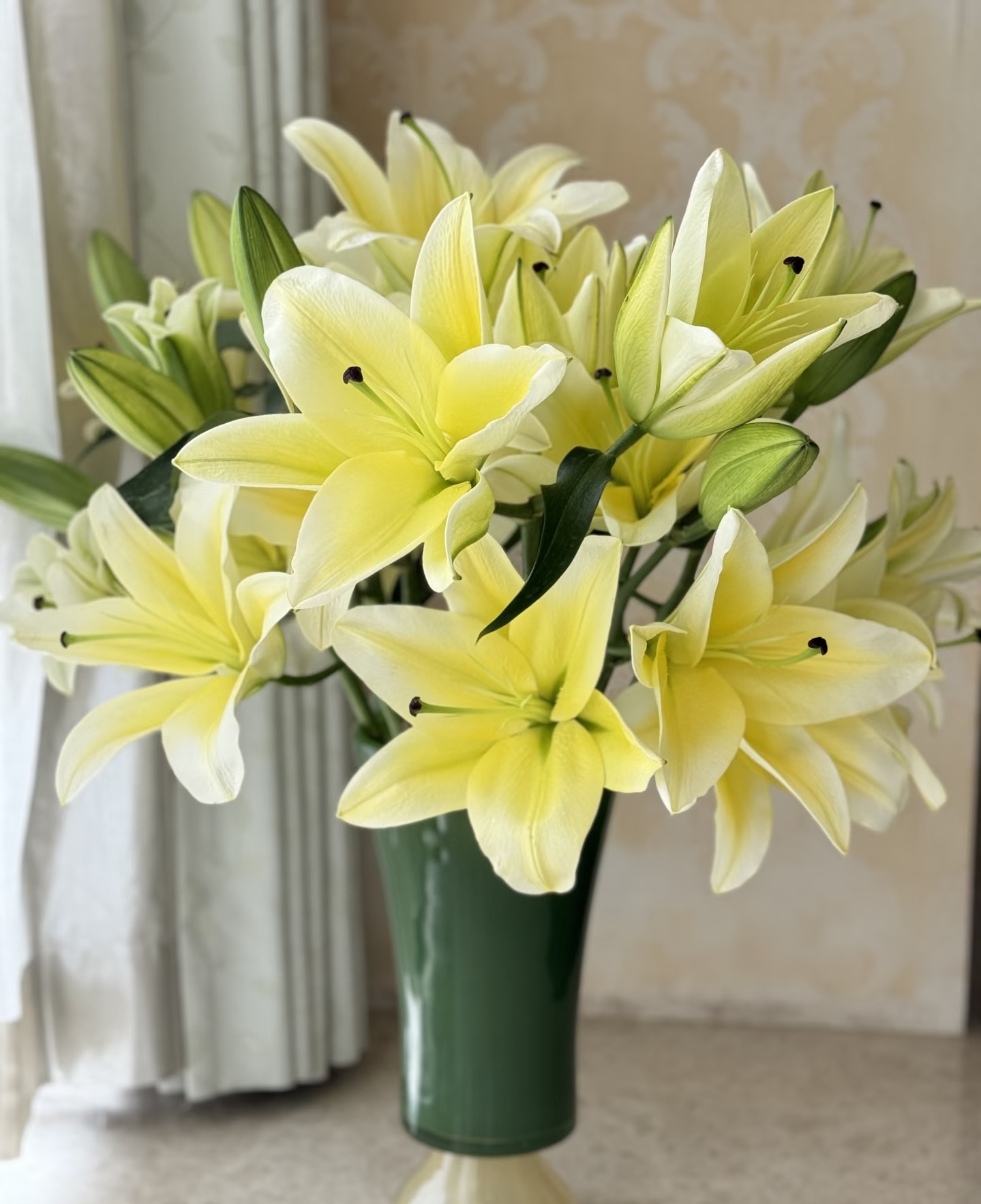 【黄色香水百合10头】2单升级顺丰冷链/德邦空运