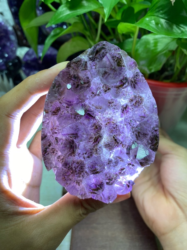 天然乌拉圭紫水晶簇紫晶块紫晶洞聚宝盆装饰摆件