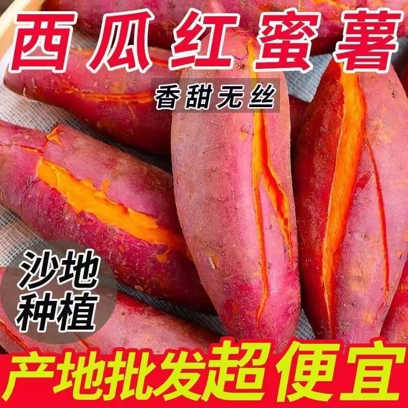 【农民自种】沙地西瓜红蜜薯糖心番薯黄心西瓜红蜜薯新鲜现挖红薯