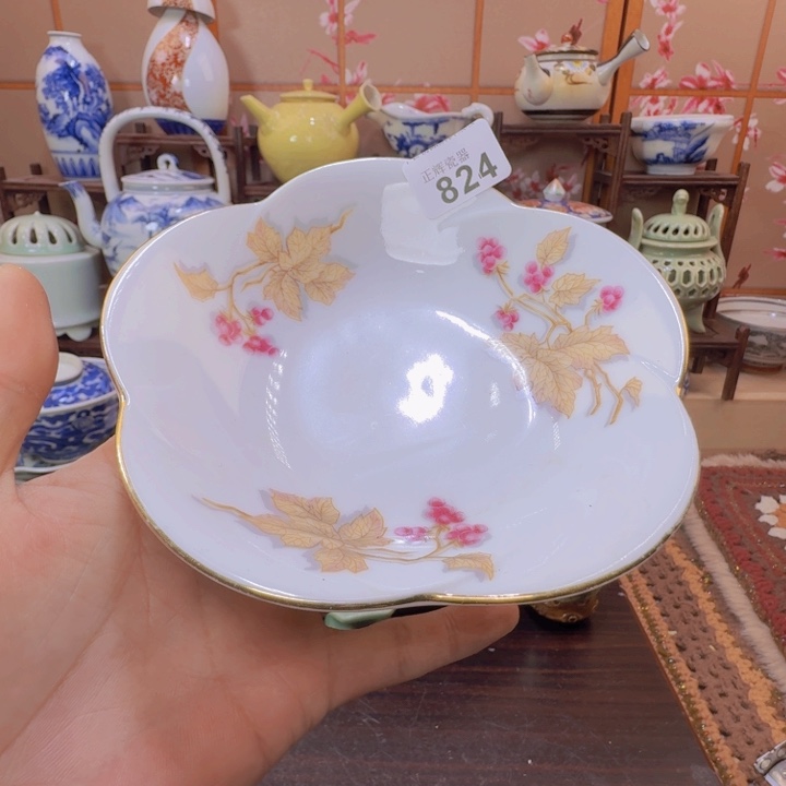 碗824啊啊啊啊啊啊啊啊啊啊啊啊