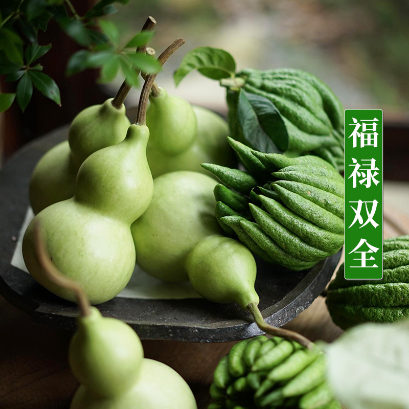【福禄果】葫芦新鲜佛手柑鲜切枝天然摆件室内装饰青皮送礼佳品