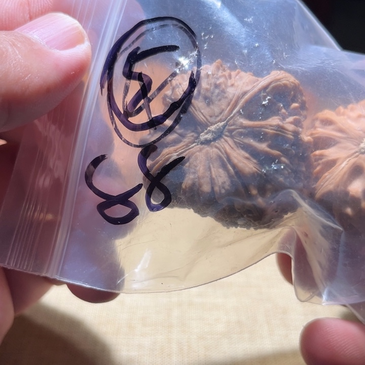 一***鸣文玩核桃吊坠5呃呃呃呃