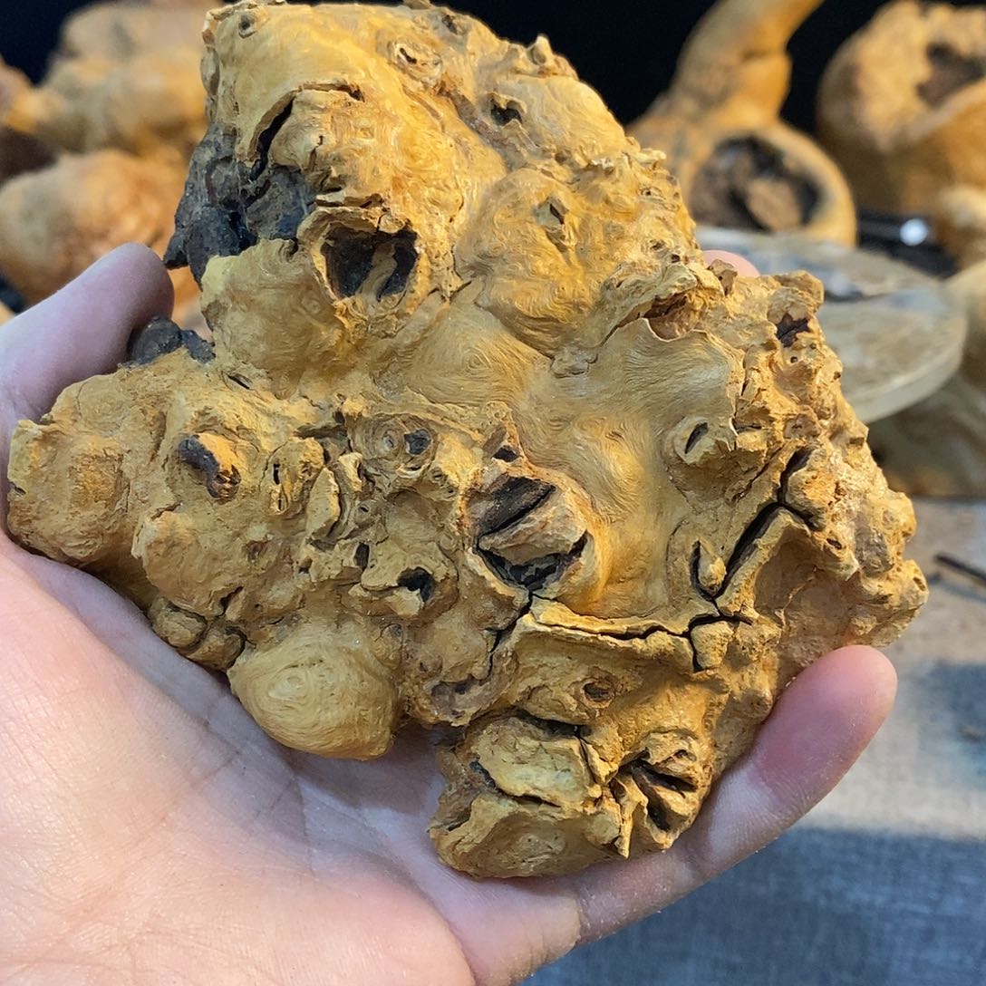 潜***居荔枝木荔枝木香炉