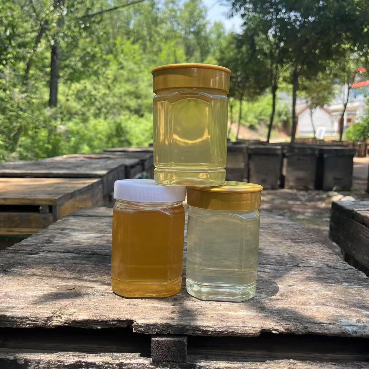 蜂蜜混拼 五味子山花蜜益母草山花蜜紫荆条花蜜水白洋槐蜜深山