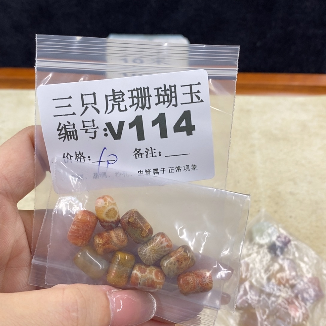 硅化珊瑚（珊瑚玉）未镶嵌1?**╰