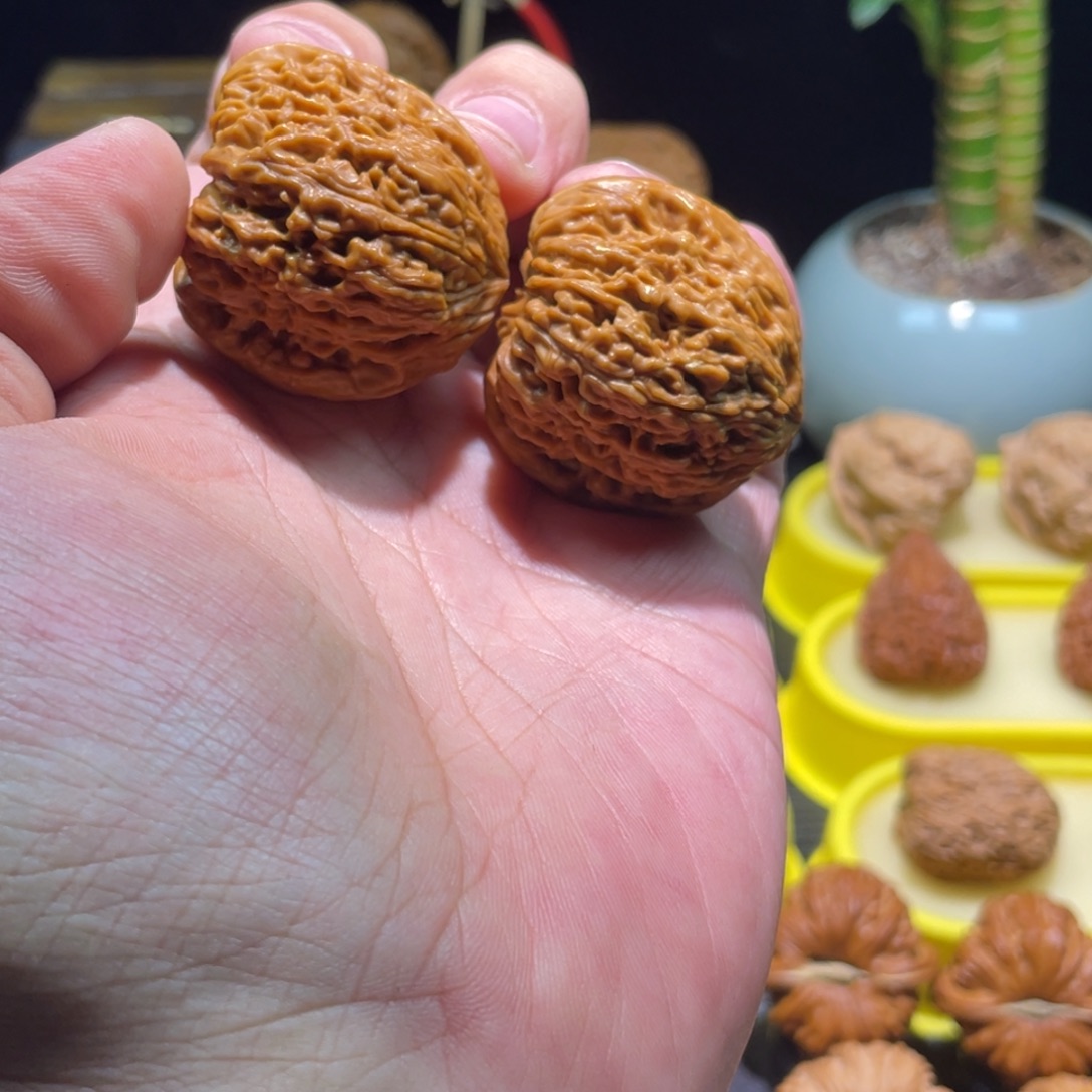 好***见把件文玩核桃37全品团子以打底