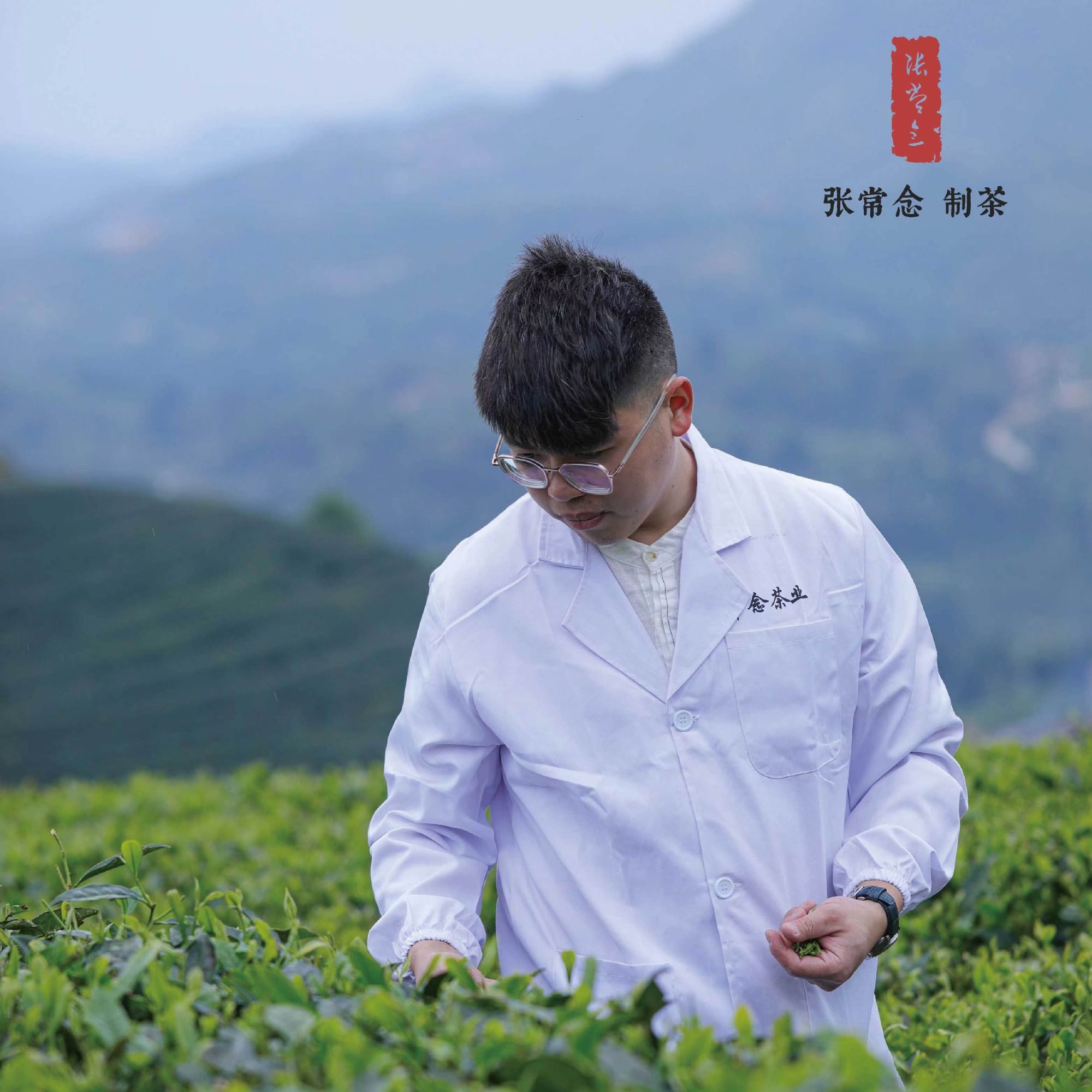 常念茶叶系列代拍链接: