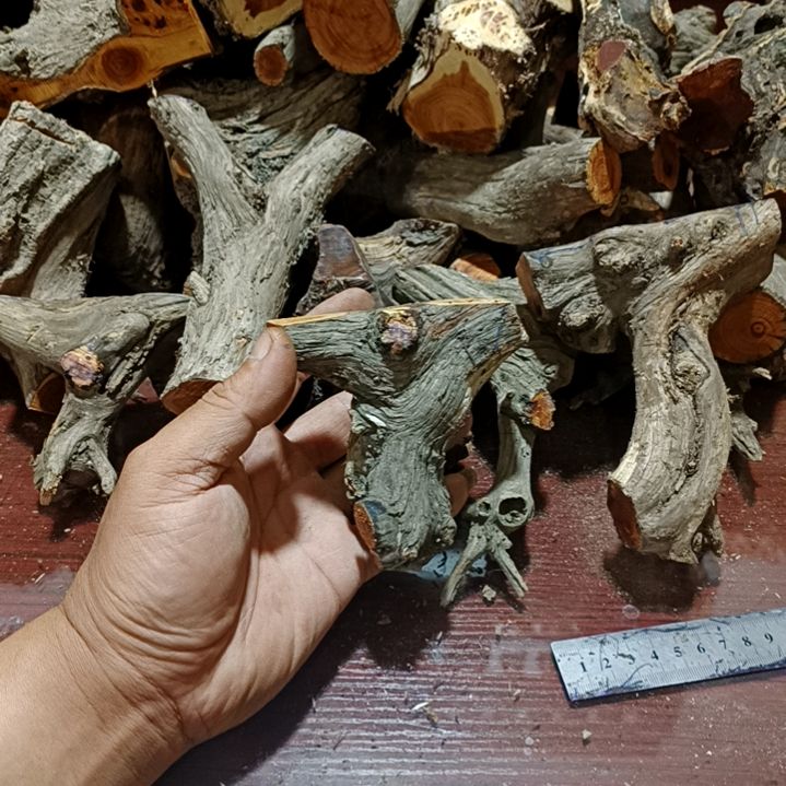 顺***天崖柏原叉崖柏原叉