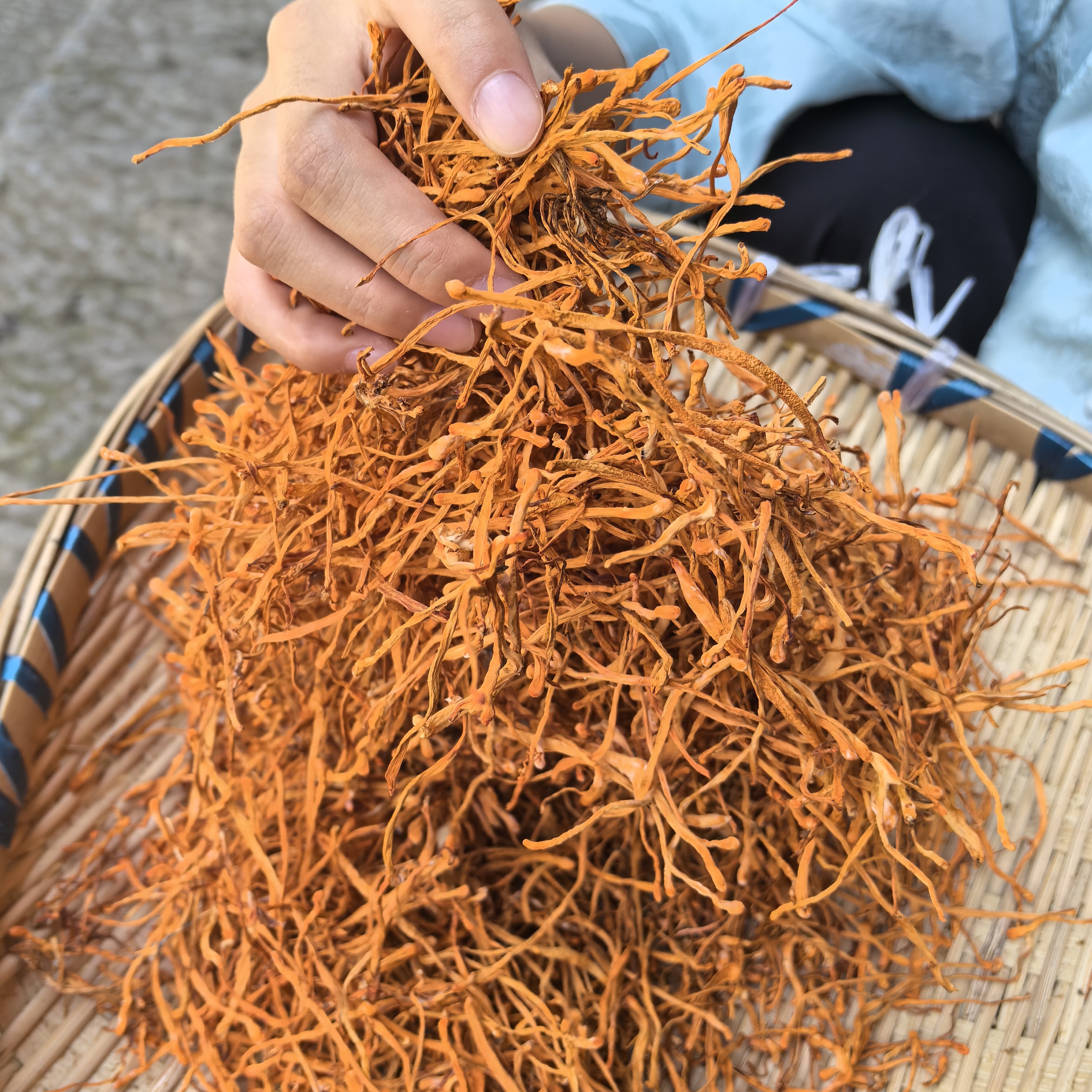 虫草花干货北金蛹虫草煲汤炖汤营养金虫草炒菜营养食材优品佳