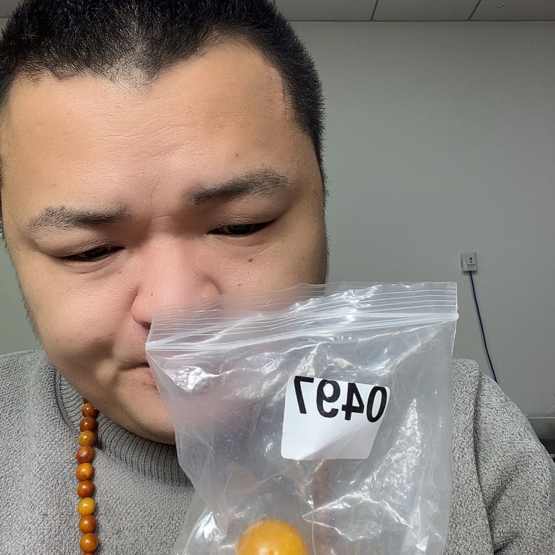 大果紫檀（缅甸花梨）0479