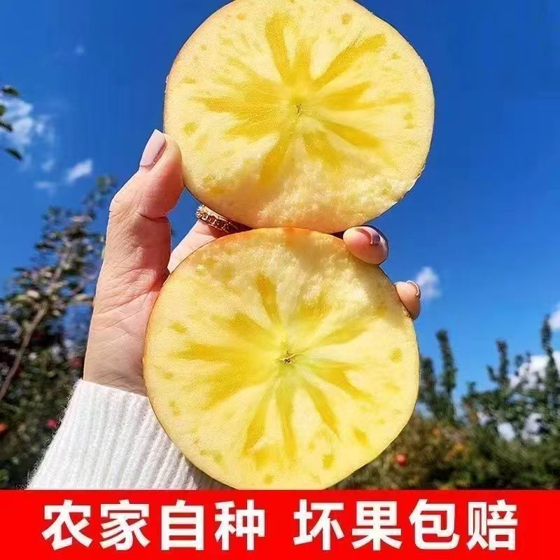 甘肃冰糖心静宁丑苹果新鲜水果现摘脆甜多汁果园直发整箱批发富士