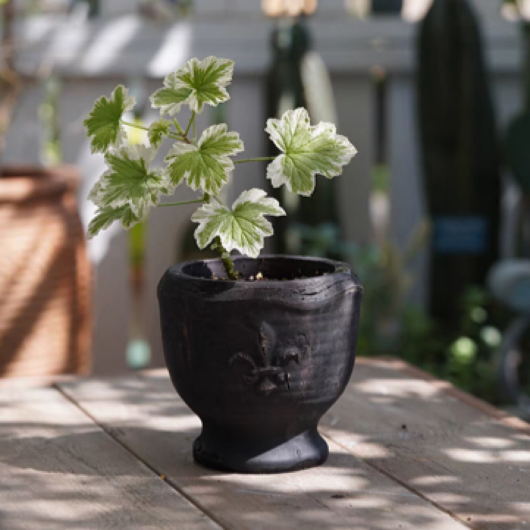 【南乔花园】粗陶迷你小奖杯浮雕花盆带脚奖杯花盆复古黑色