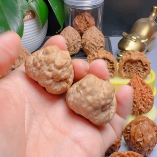大***虎木质类精品三角型古蝉