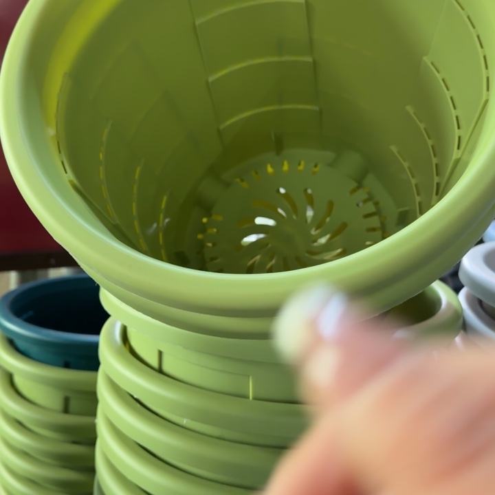 测33口径果绿无托5个