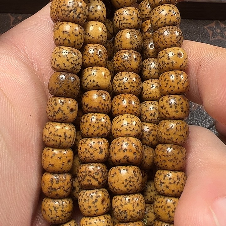 我们都是在这里看到的哈