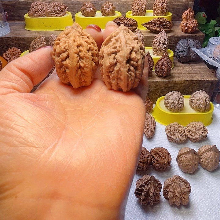 核桃6号车放漏漏漏