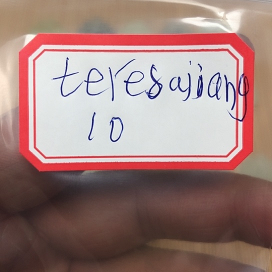 蛇纹石玉颈饰合金t****g