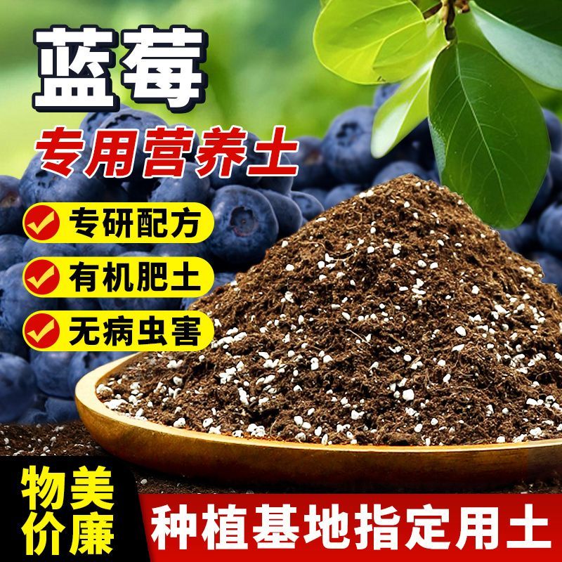 蓝莓专用营养土配方酸性介质盆栽杜鹃茶花疏松透气介质土壤有机土
