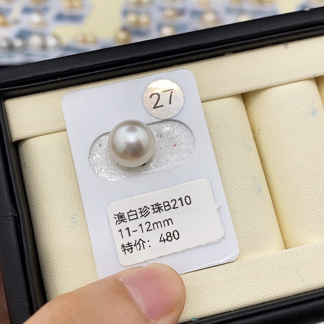 耳饰未镶嵌海水珍珠