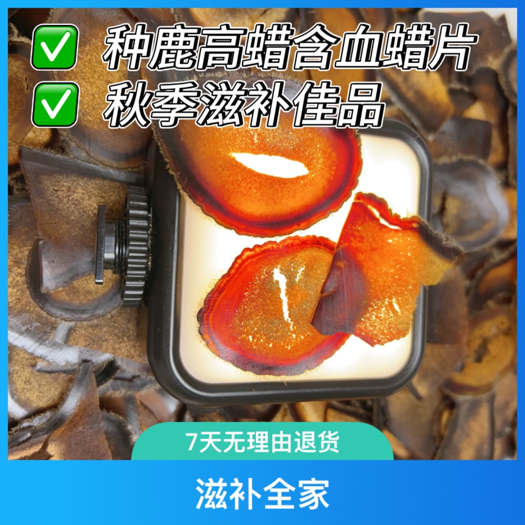 高蜡度微残微破（种鹿）含血蜡片泡水泡酒煲汤全家滋补