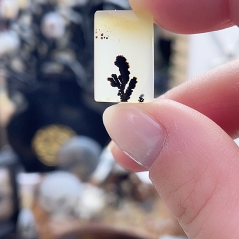 玛瑙/玉髓珠宝奇石未镶嵌