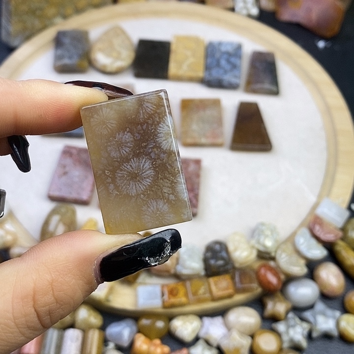 硅化玉未镶嵌颈饰12