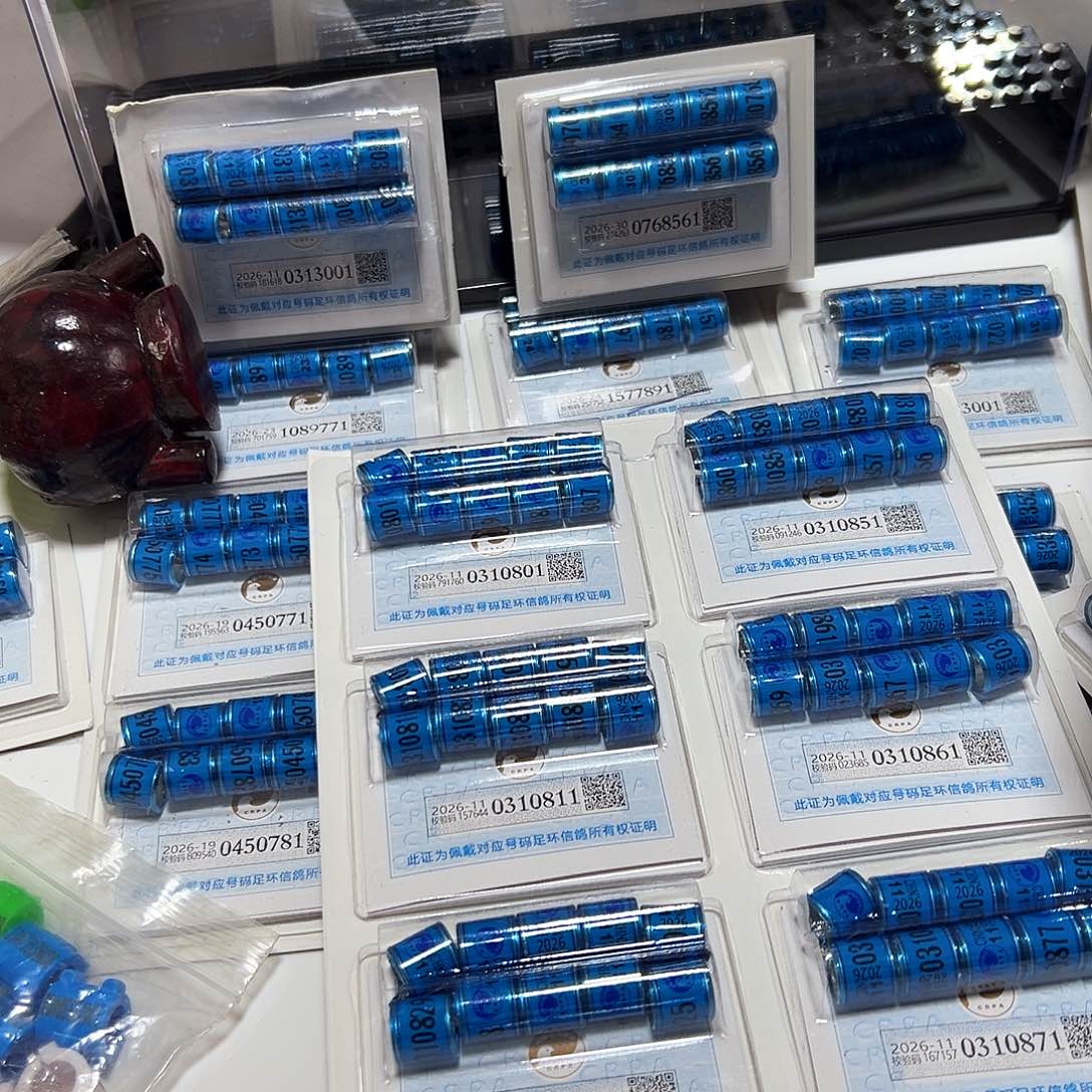 ?****?0310811 0310821 11