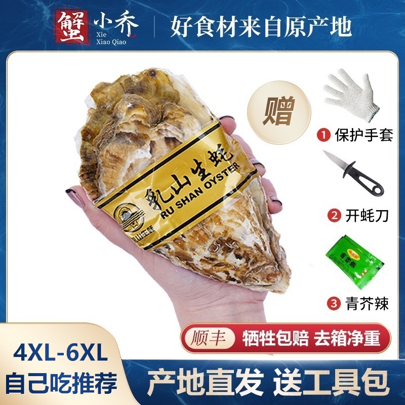 【6XL-4XL】乳山生蚝10斤黄金牡蛎海蛎子5-10斤包活（自己吃推荐）