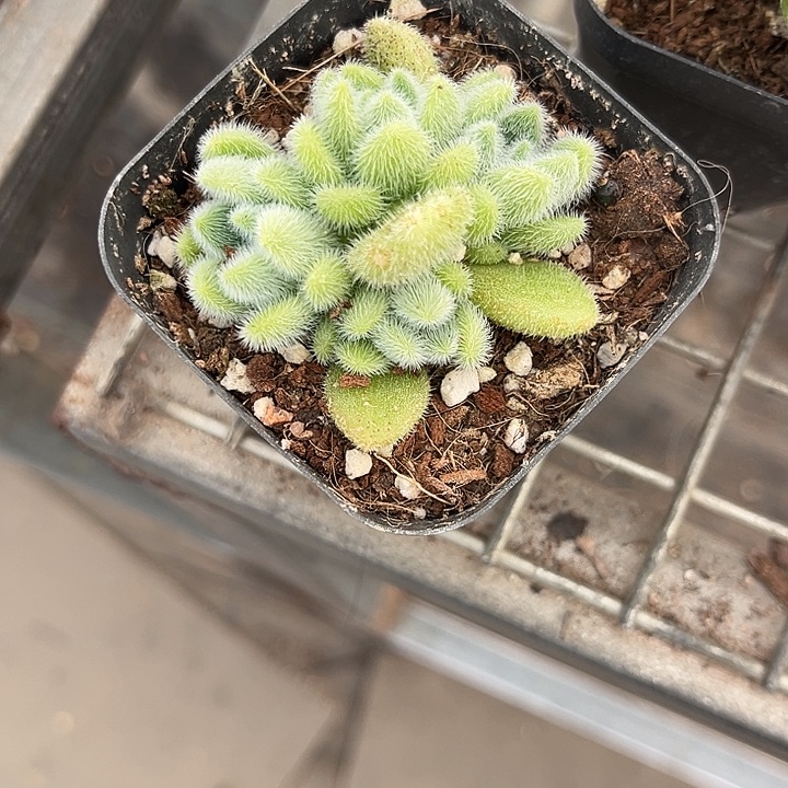 我也不知道我为什么要这样