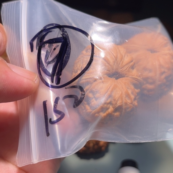 文玩核桃吊坠7呃呃呃呃