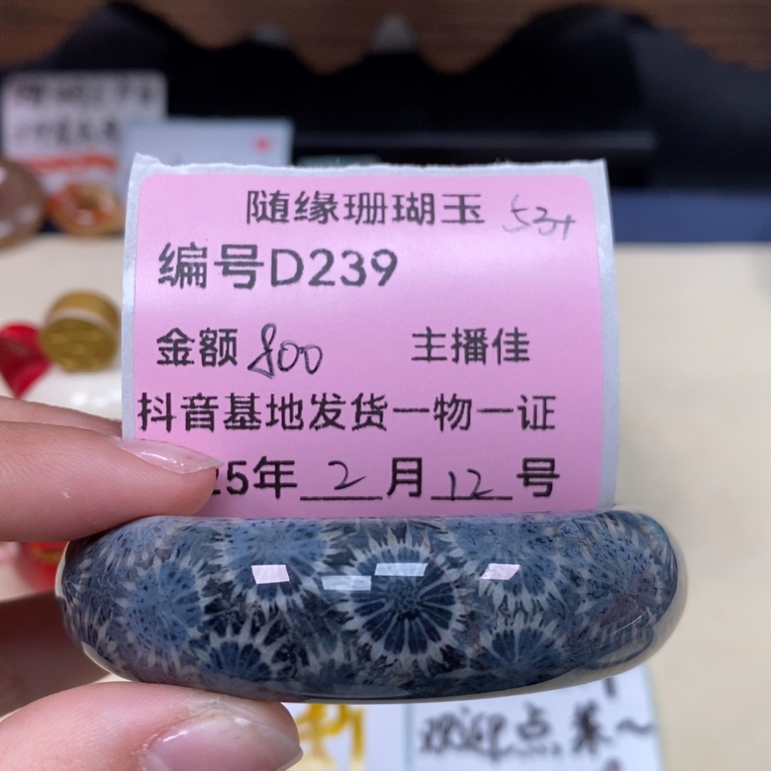 硅化珊瑚（珊瑚玉）D239未镶嵌浪****?
