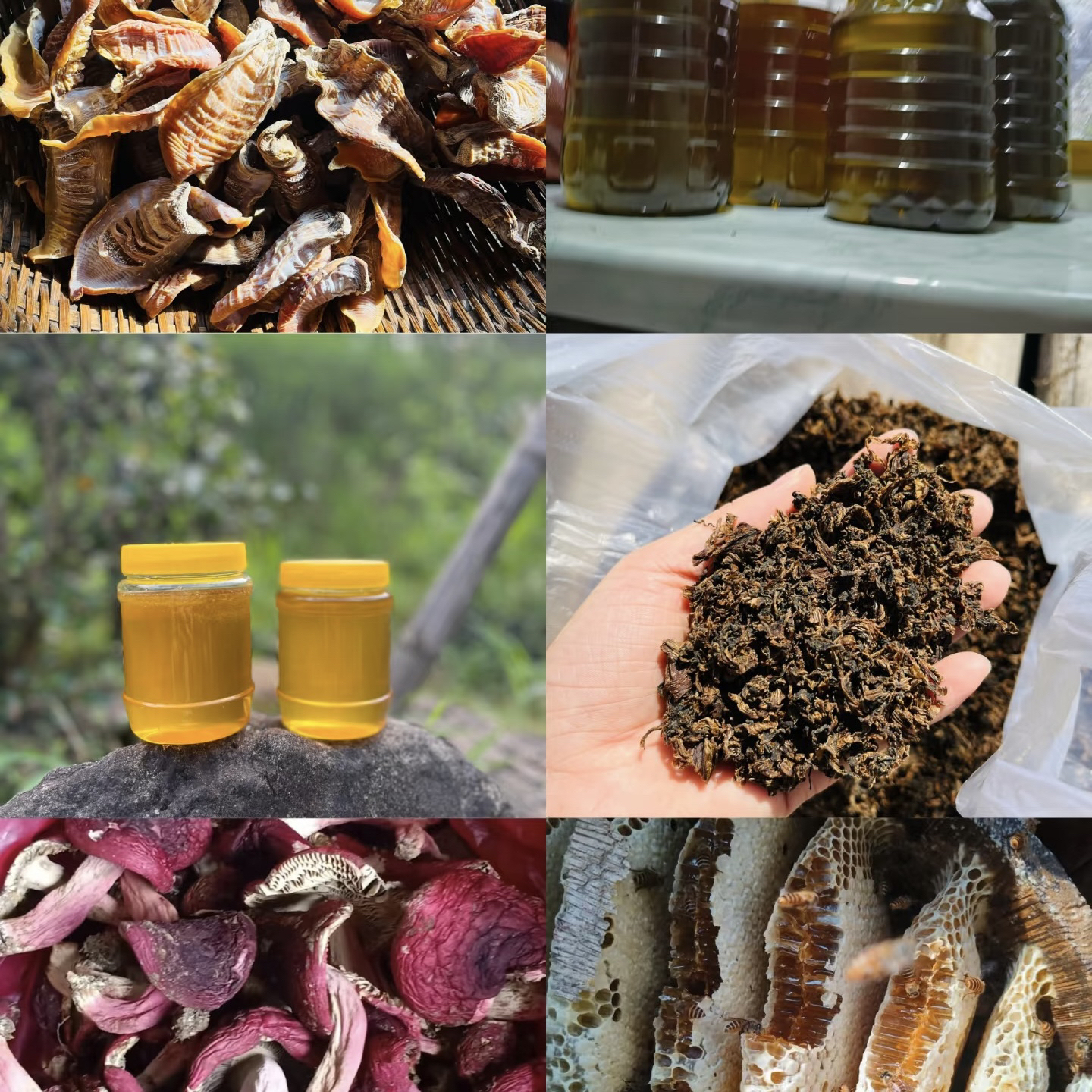 云南土特产山货（改价2）