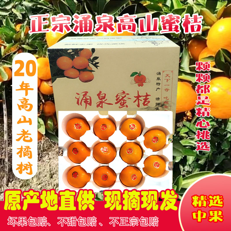 [江浙沪皖包邮精品中果]20年老橘树高山临海涌泉蜜桔皮薄化渣现摘