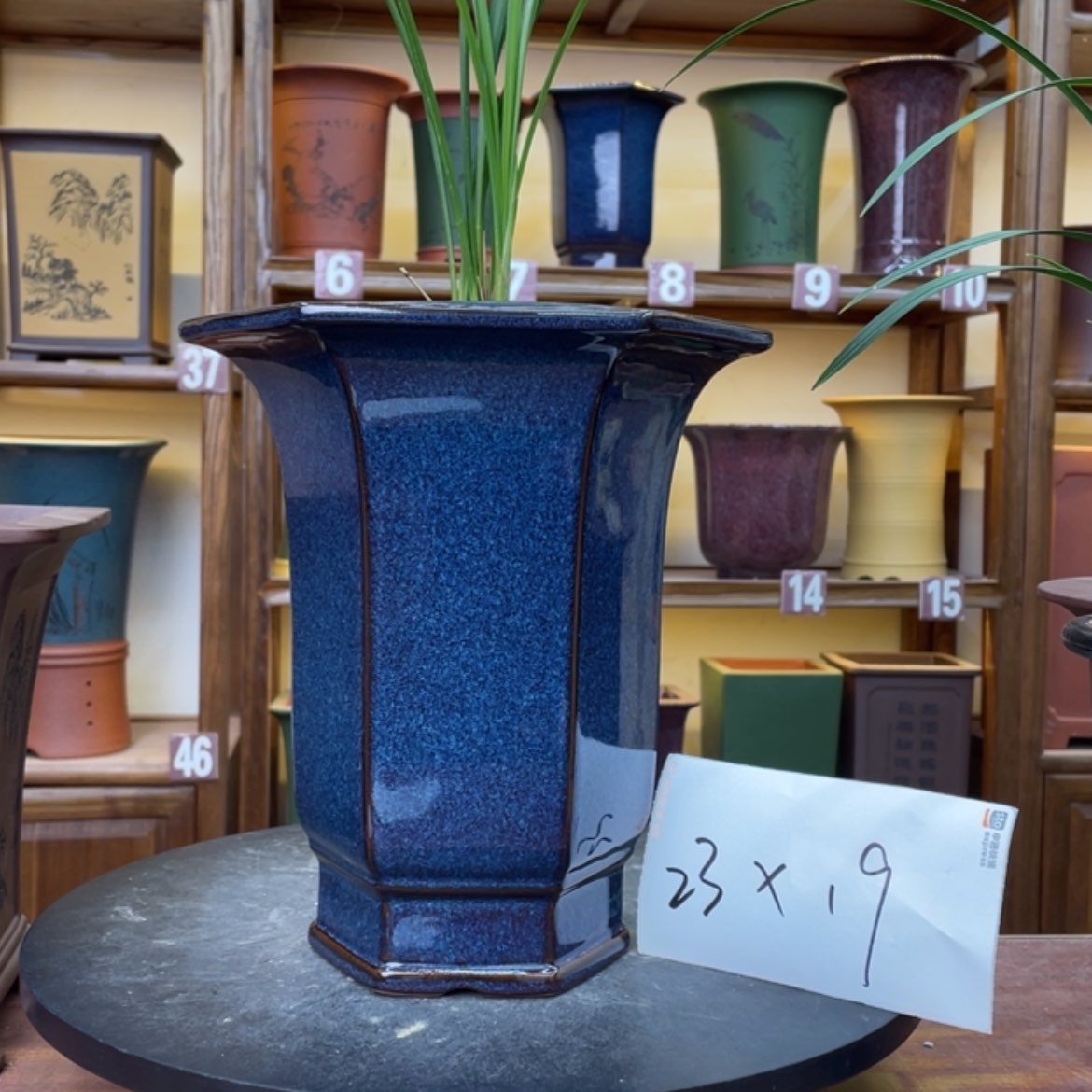 【闪购商品】紫砂花盆兰花425874256885558855